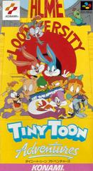 Tiny Toon Adventures - (Used, Cart/Disc Only) (Super Famicom Games)